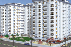 Florida 5, Pinecrest, FL